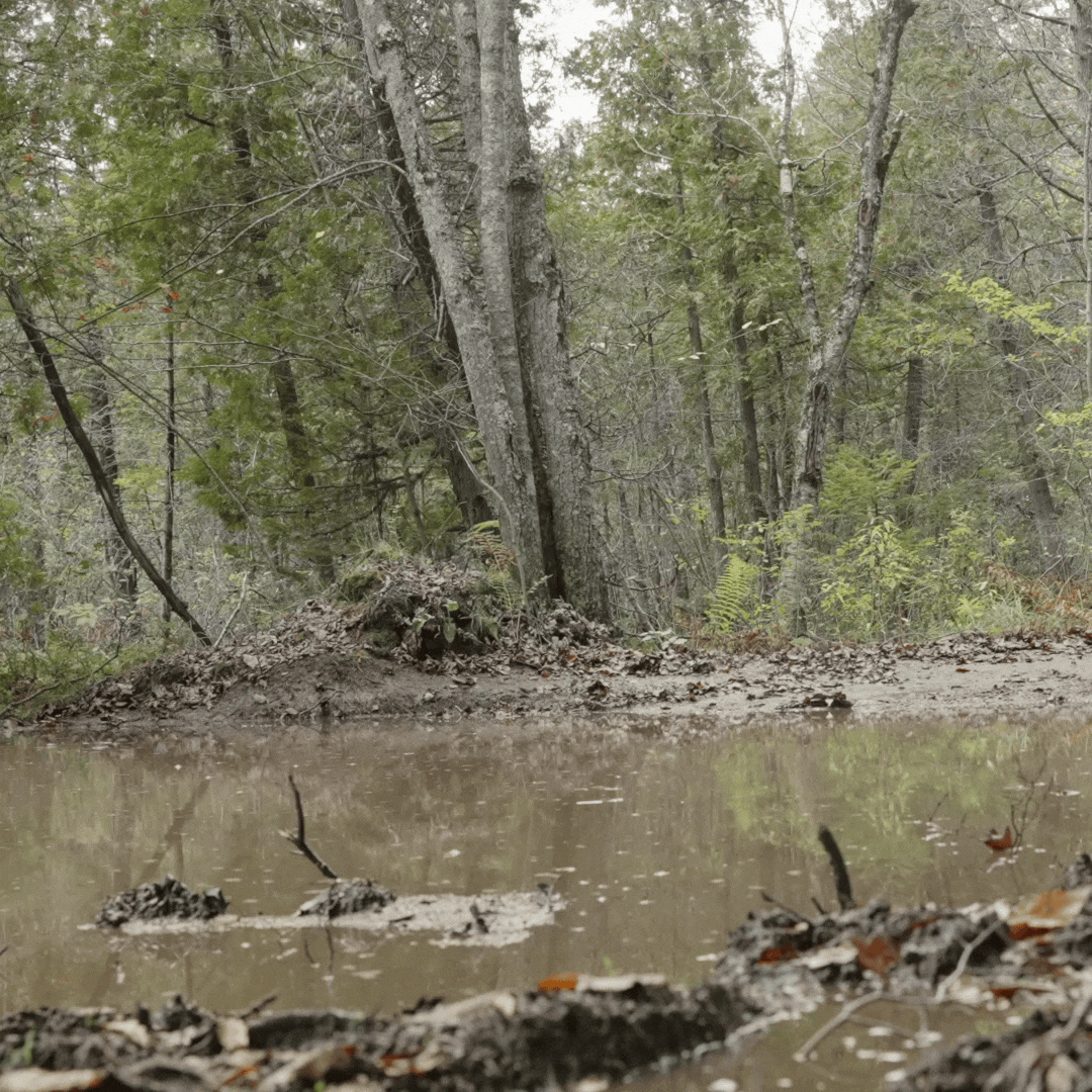 Kimpex 2025 HD4 mud 1 1